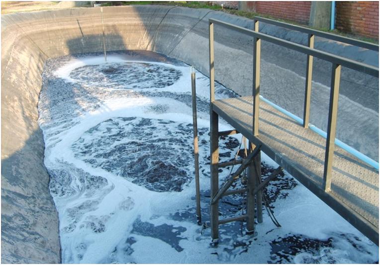 Hacer Click para Agrandar